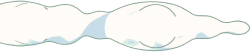 zircuit